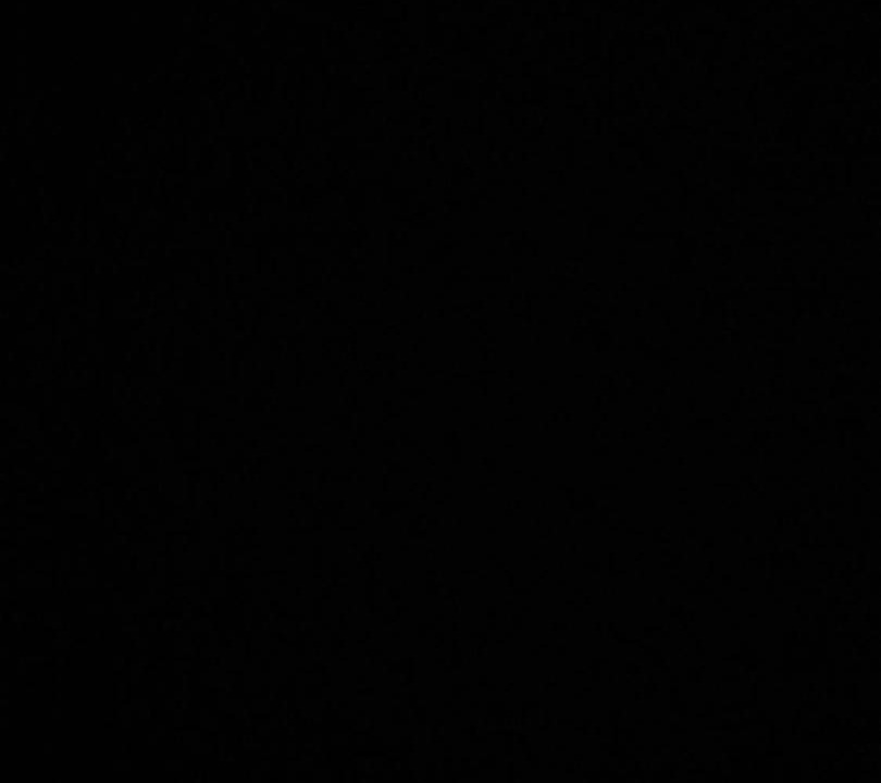 Photo of Others in Poinciana