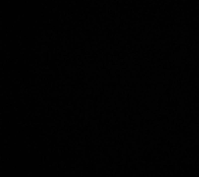 Photo of Others in Poinciana