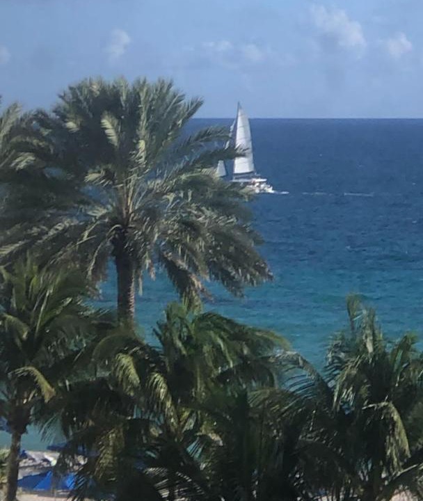 Photo of Others in Sunny Isles Beach