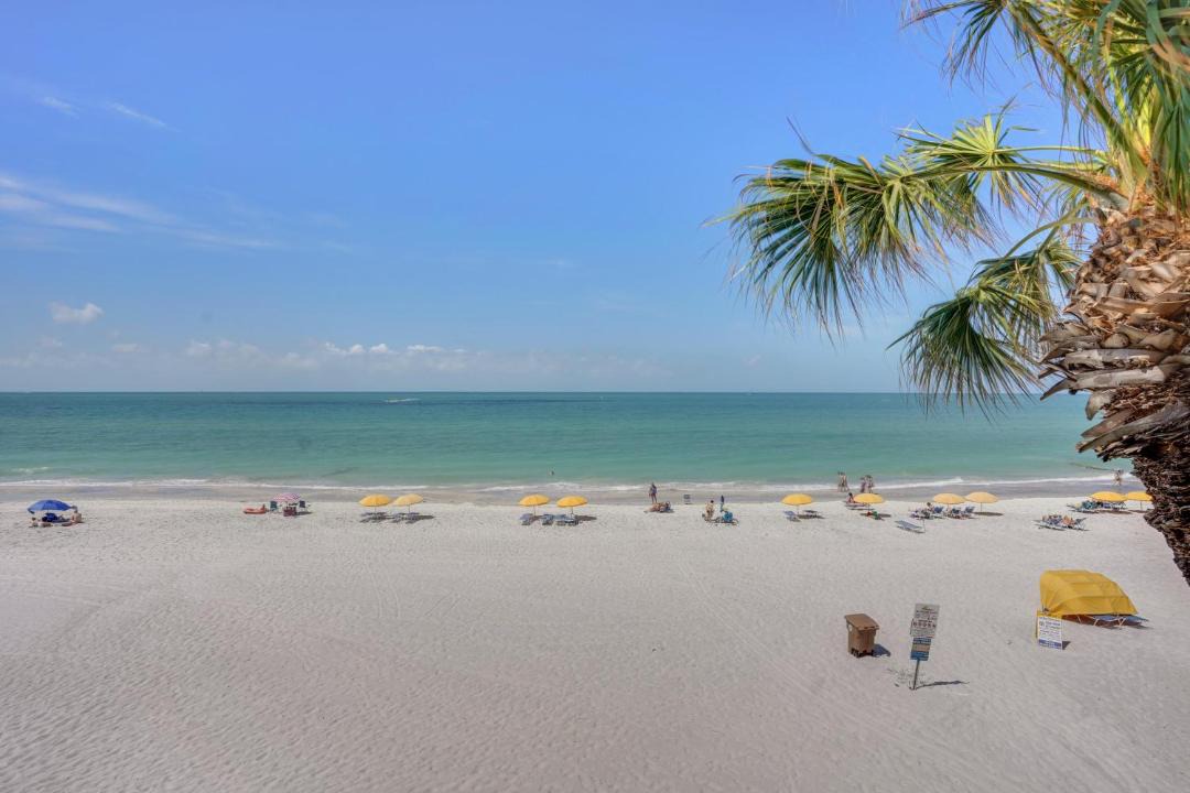 Photo of Others in Madeira Beach