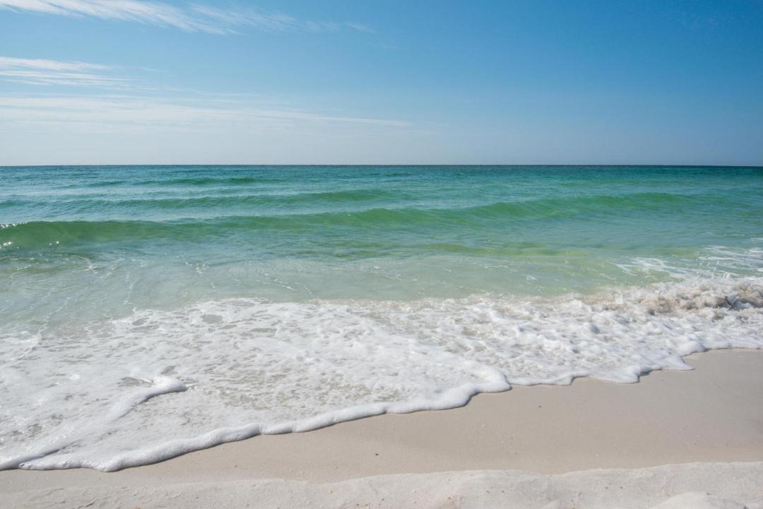 Photo of Others in Pensacola Beach