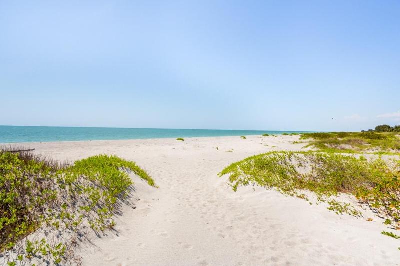 Photo of Others in Captiva