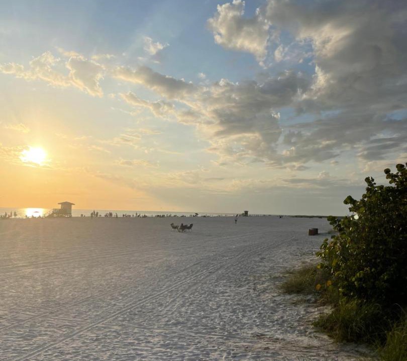 Photo of Others in Sarasota