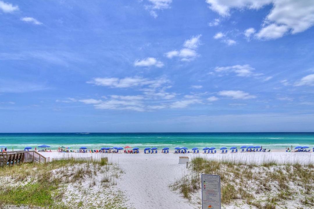 Photo of Others in Gulf Pines