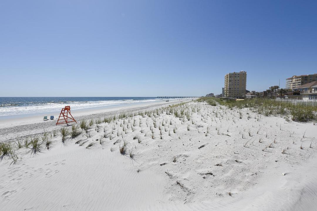 Photo of Others in Jacksonville Beach