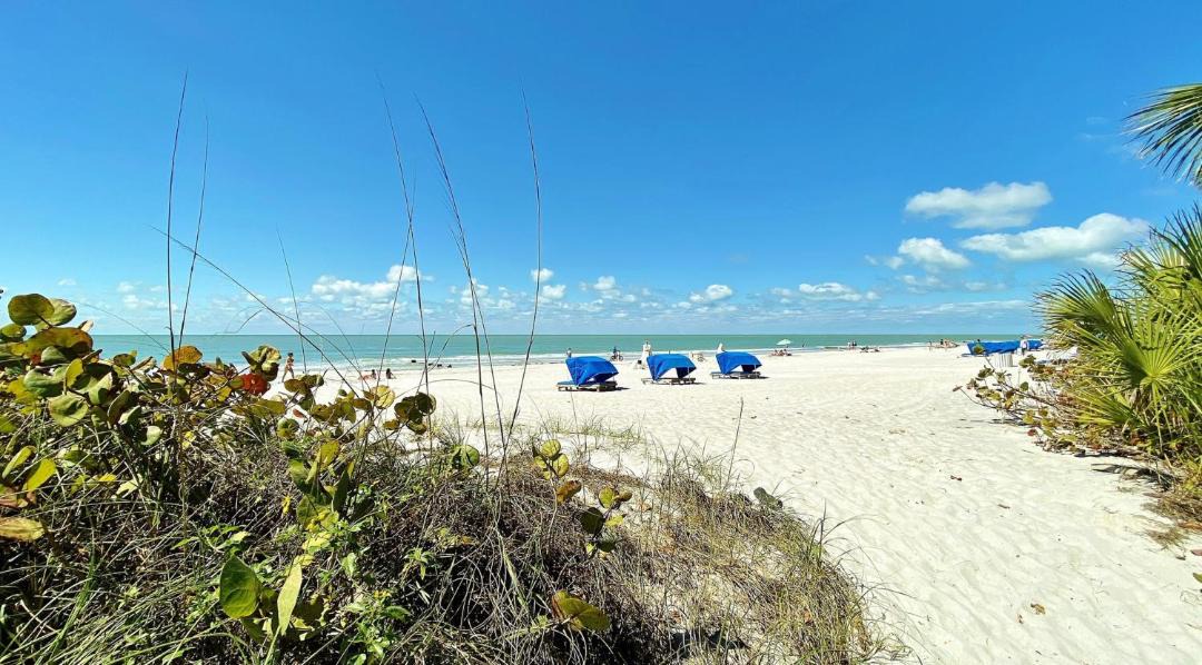 Photo of Others in Madeira Beach