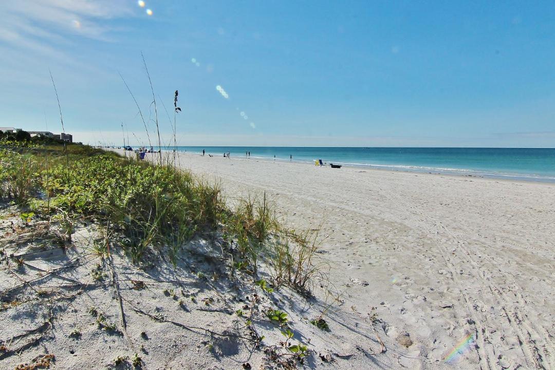 Photo of Others in Indian Rocks Beach