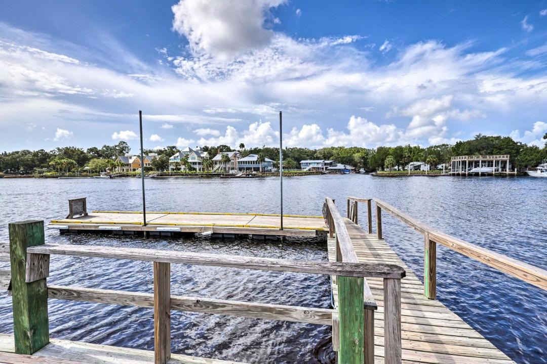 Photo of Others in Steinhatchee