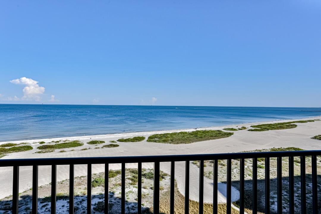 Photo of Others in Sand Key