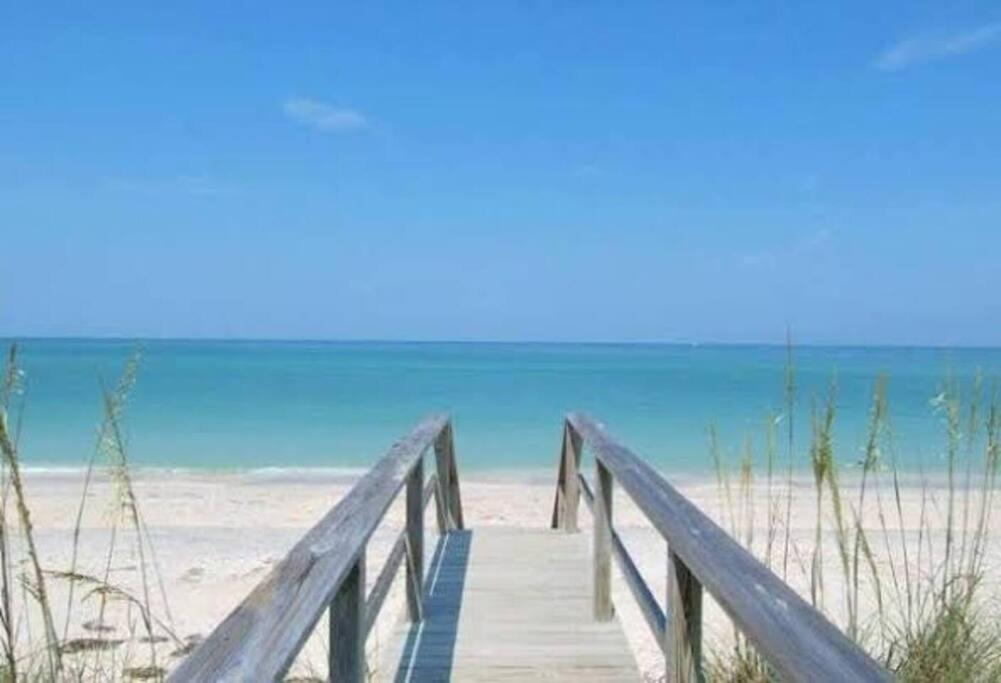 Photo of Others in Sarasota