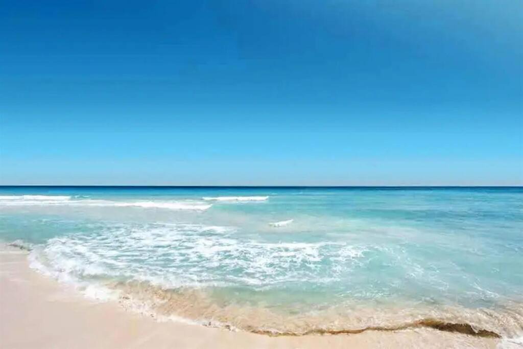 Photo of Outdoor in Sarasota