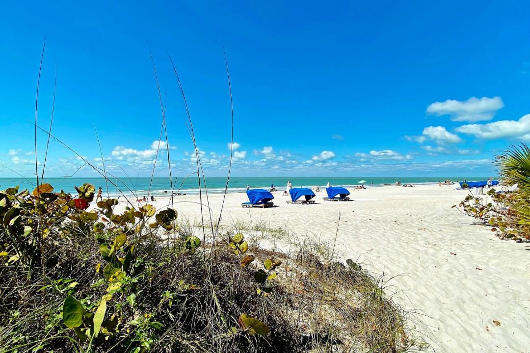 Photo of Others in Madeira Beach