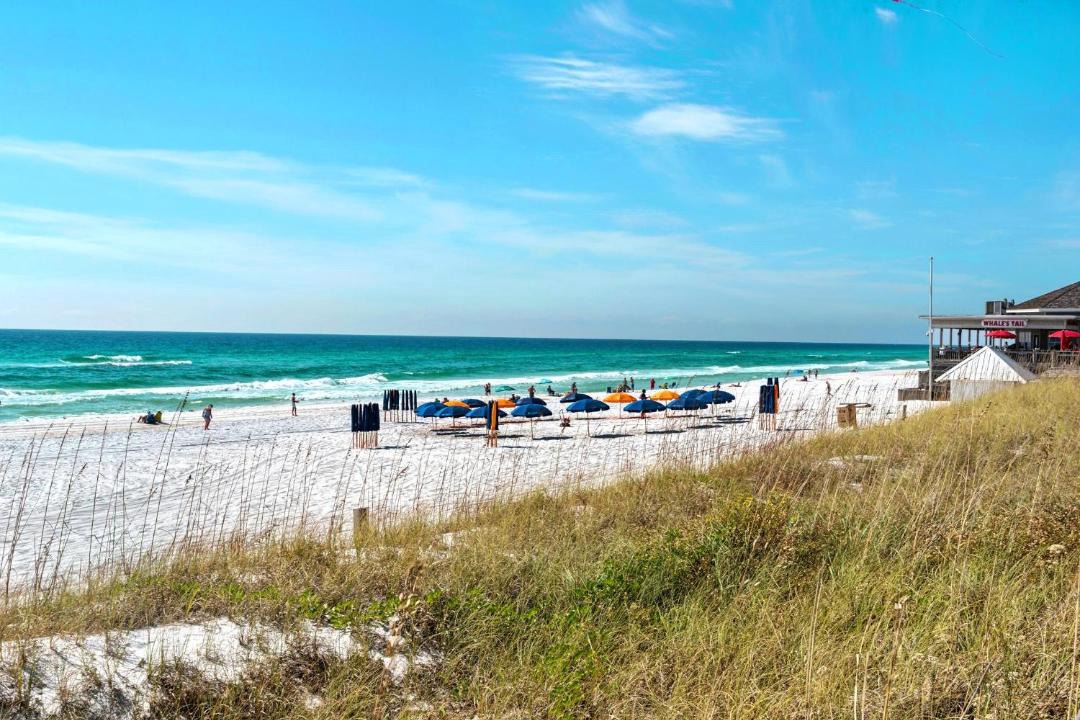 Photo of Others in Miramar Beach