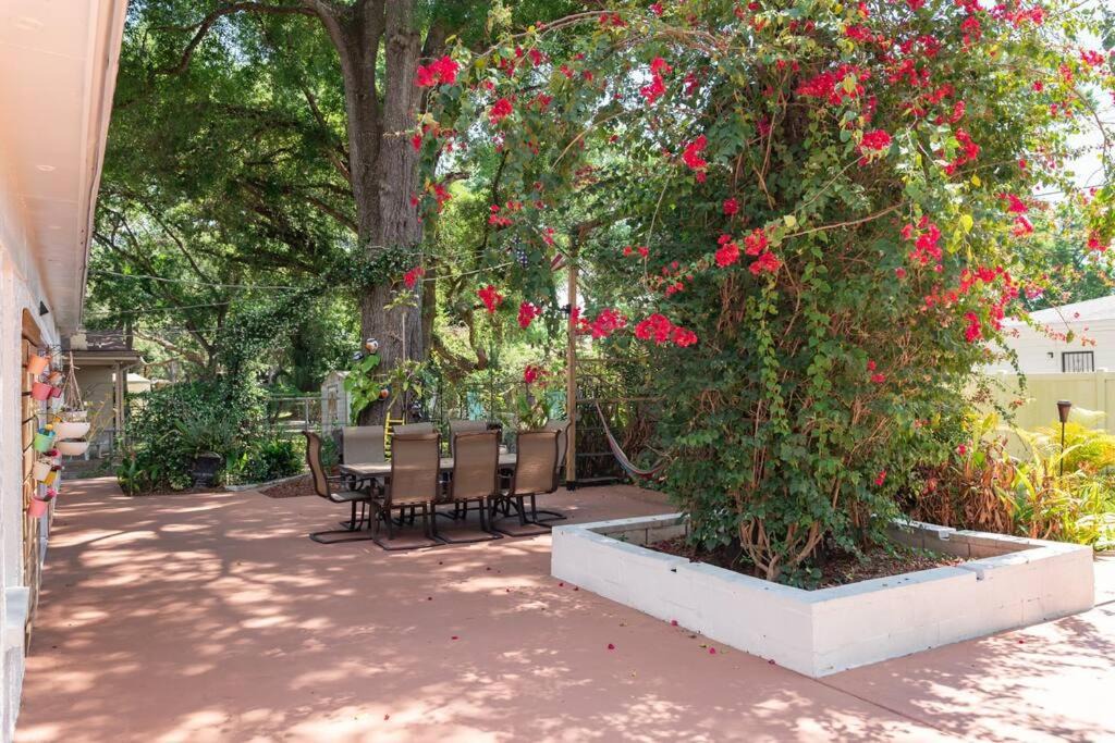 Photo of Patio Balcony in Tampa