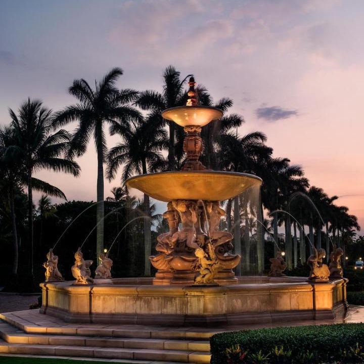 Photo of Others in Palm Beach