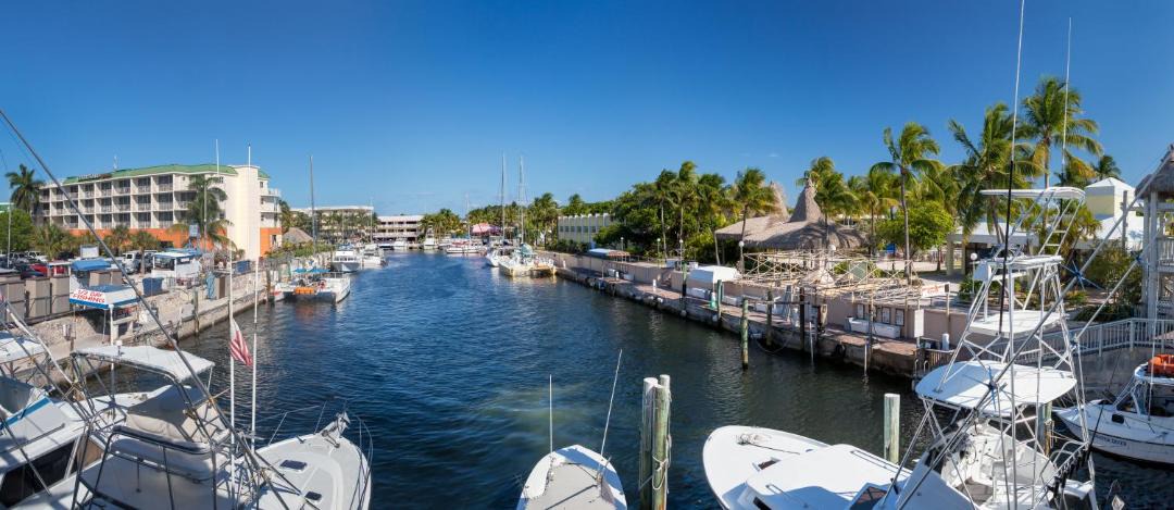 Photo of Others in Key Largo