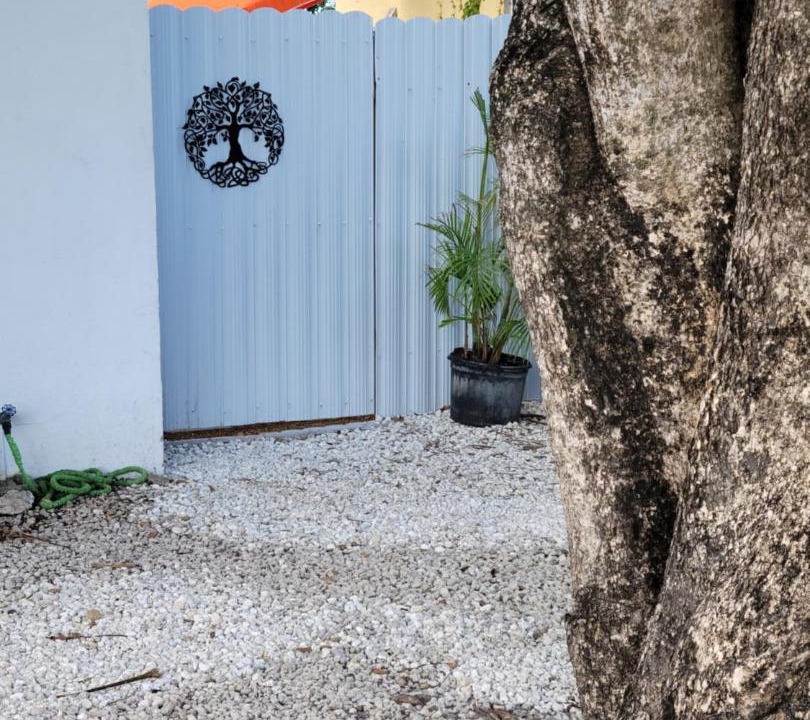 Photo of Others in North Miami Beach