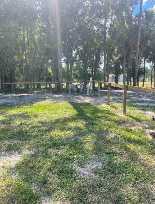 Photo of Outdoor in West Palm Beach