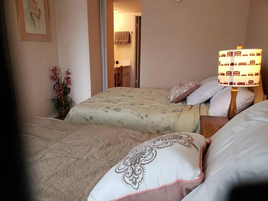 Photo of Bedroom in Maitland