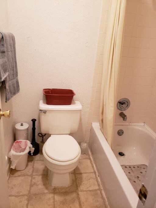 Photo of Bathroom in Maitland