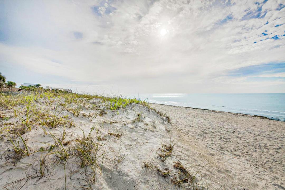 Photo of Others in Indian Rocks Beach