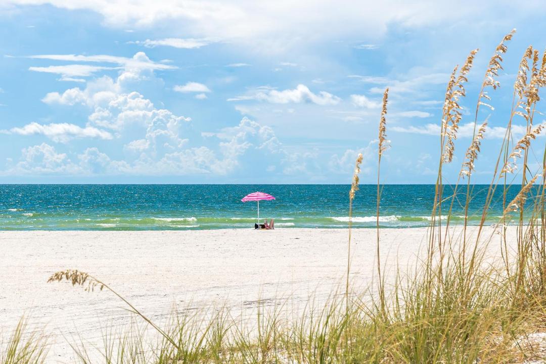 Photo of Others in Clearwater