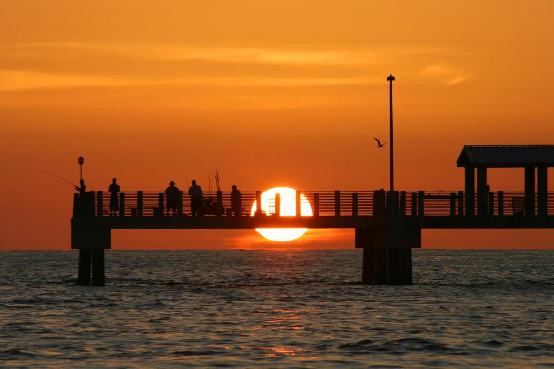 Photo of Others in Clearwater