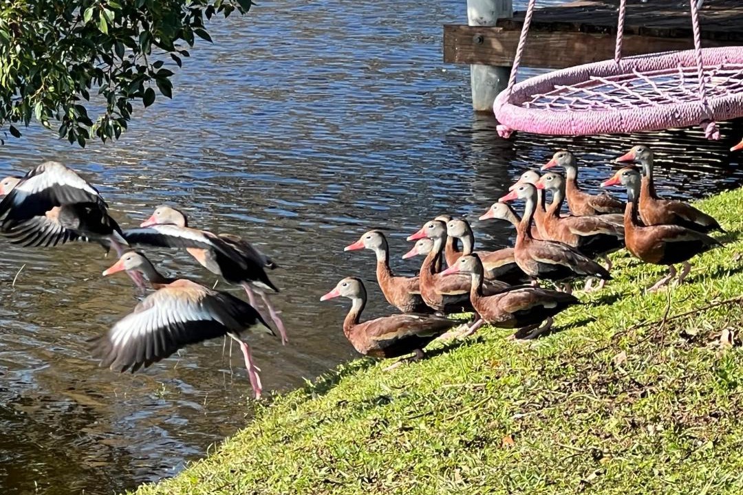 Photo of Others in Lakewood Villas