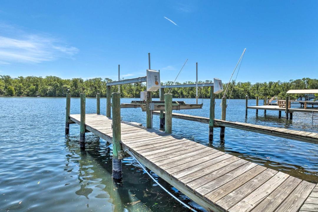 Photo of Others in Homosassa