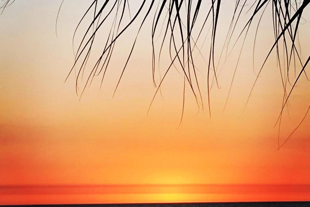 Photo of Others in Madeira Beach