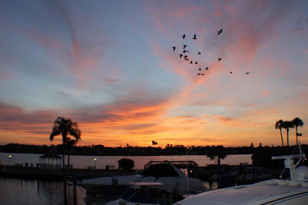 Photo of Others in Siesta Key