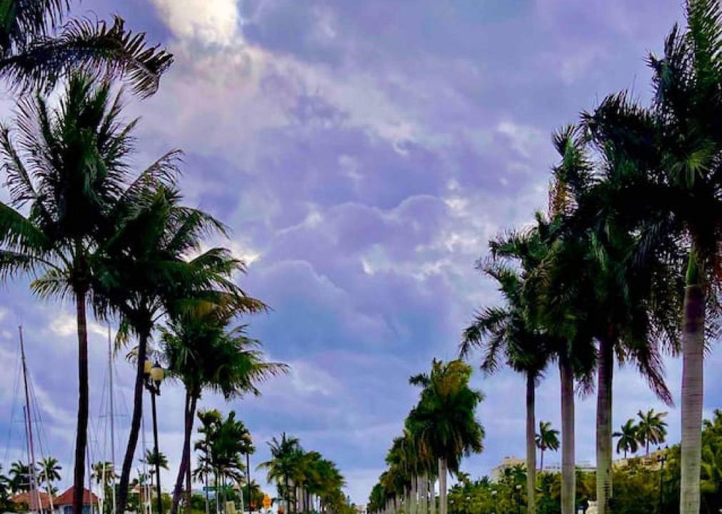 Photo of Others in Hendricks and Venice Isles