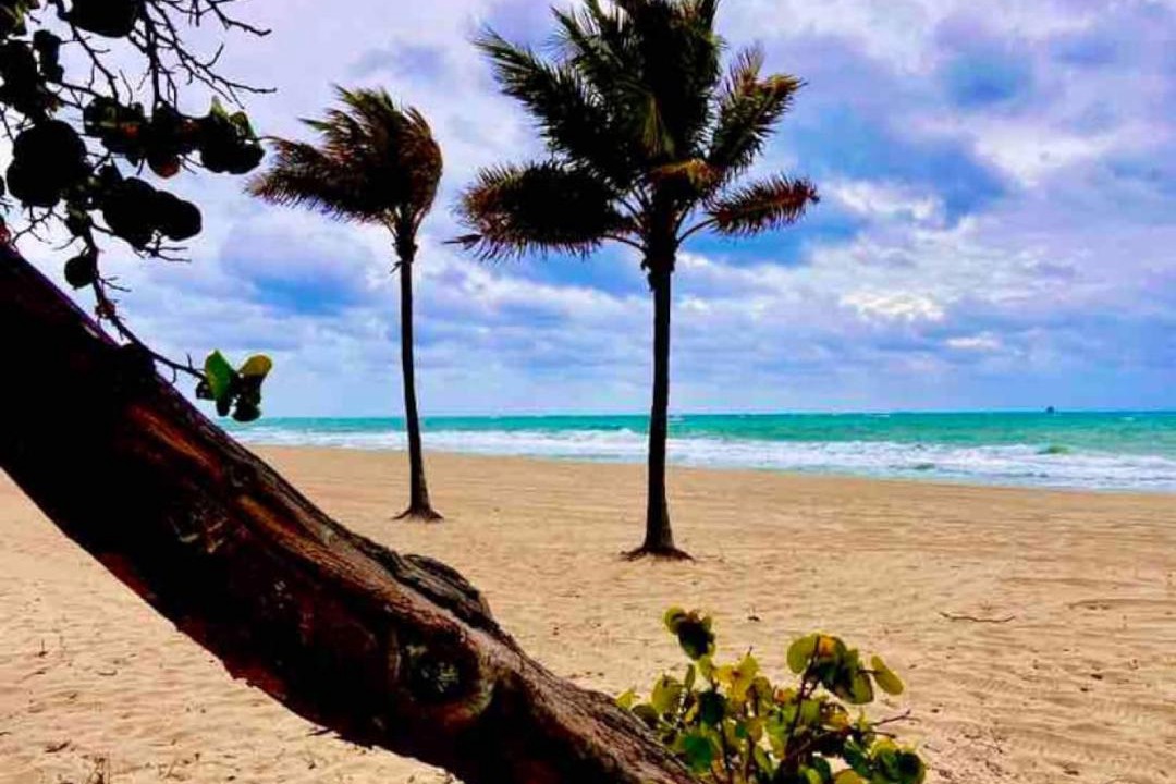 Photo of Others in Hendricks and Venice Isles