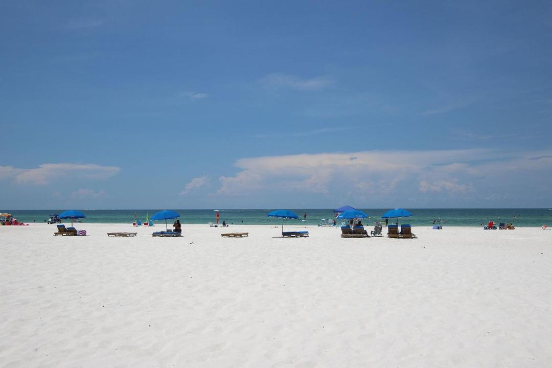 Photo of Outdoor in Madeira Beach