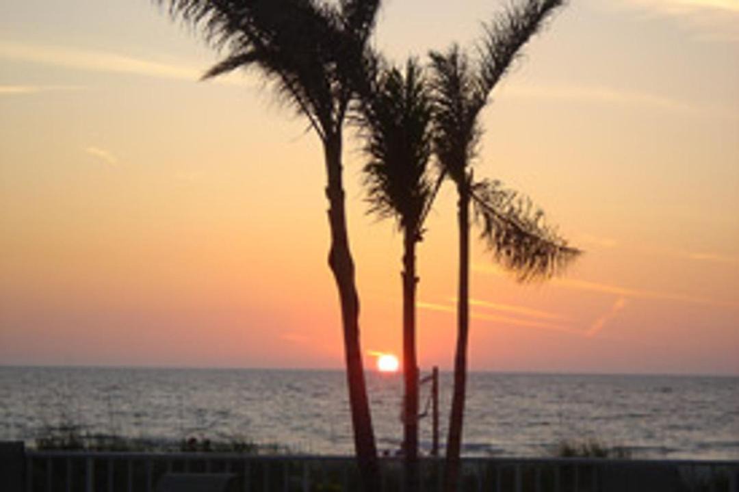 Photo of Outdoor in Indian Rocks Beach