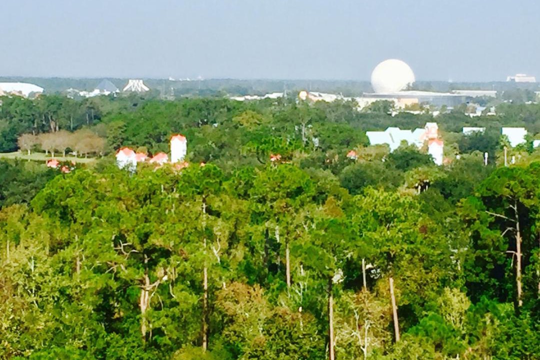 Photo of Outdoor in Lake Buena Vista