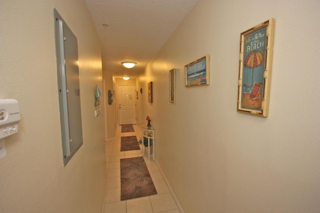 Photo of Others in Indian Rocks Beach