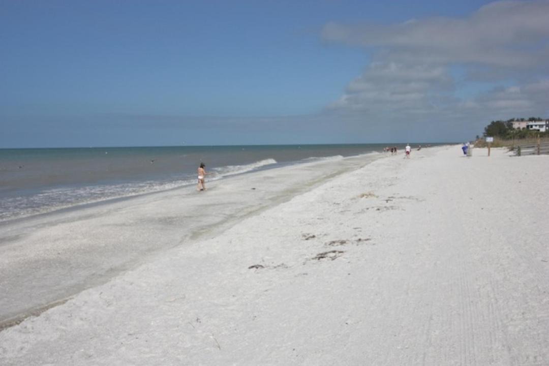 Photo of Outdoor in Indian Rocks Beach