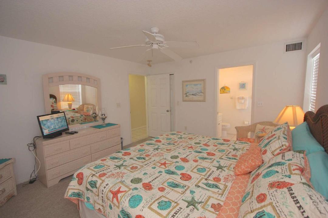Photo of Others in Indian Rocks Beach