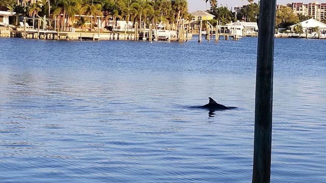 Photo of Outdoor in Treasure Island