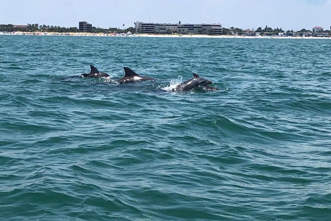 Photo of Others in Treasure Island