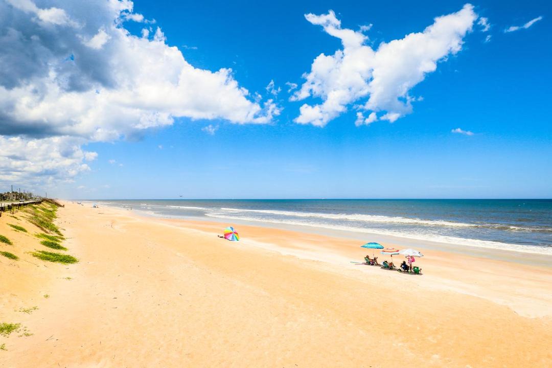 Photo of Others in Ormond-by-the-Sea