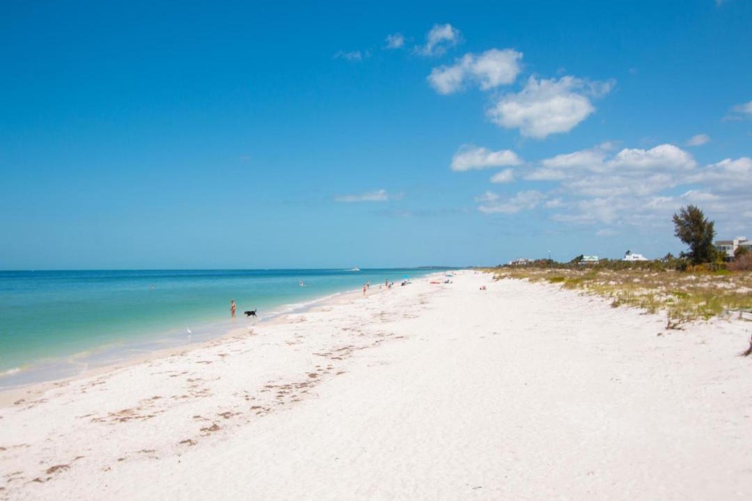 Photo of Others in Sand Key
