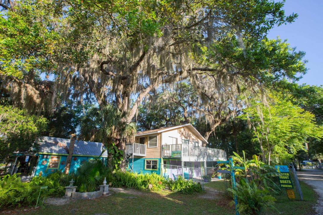 Photo of Others in Homosassa