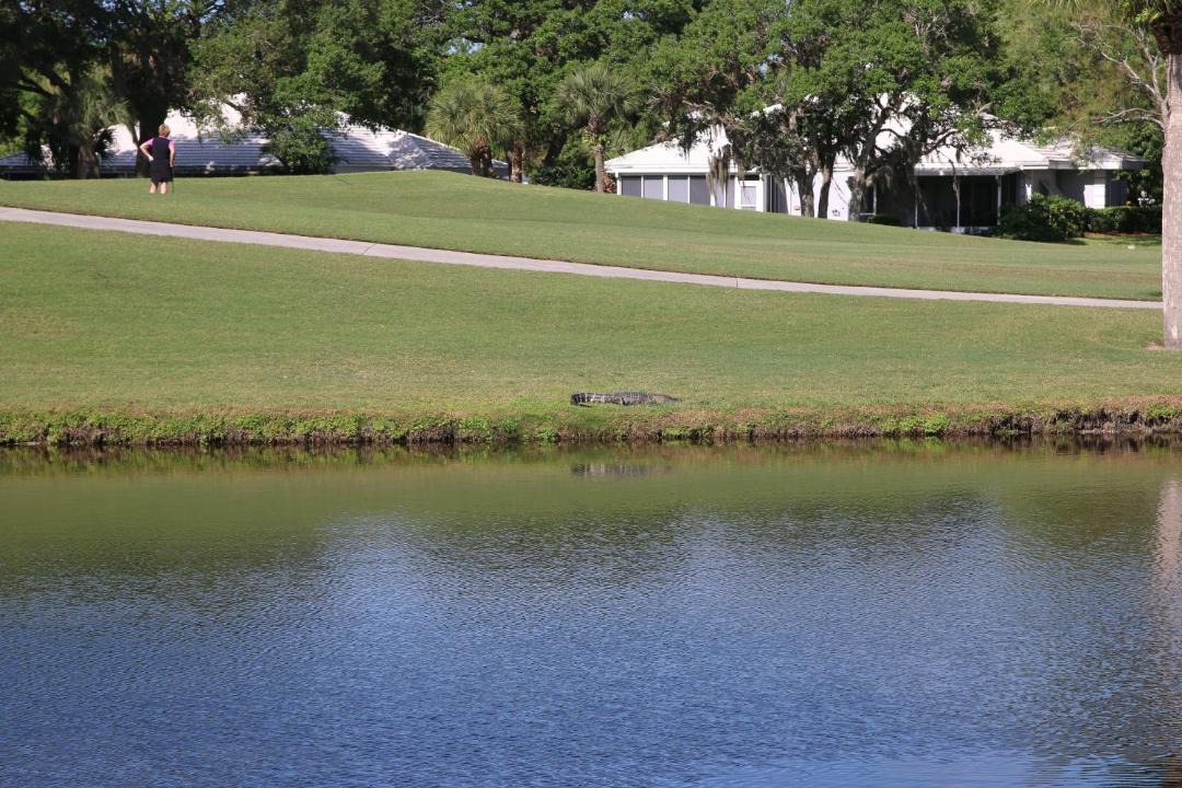 Photo of Others in Plantation