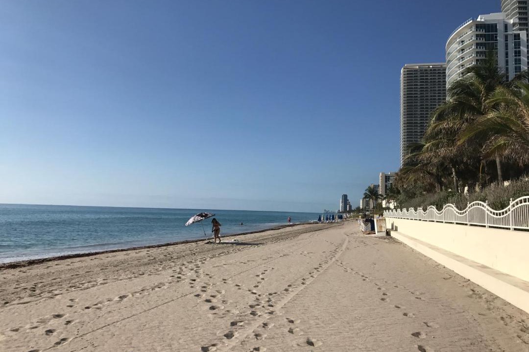 Photo of Others in Hollywood South Central Beach