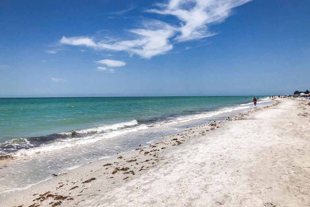 Photo of Others in Sanibel