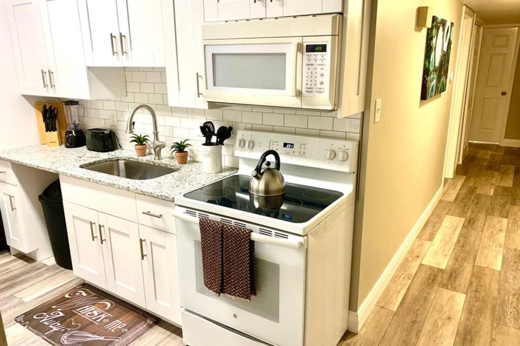 Photo of Kitchen in Davis Islands