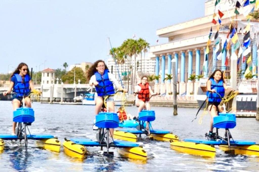 Photo of Others in Davis Islands