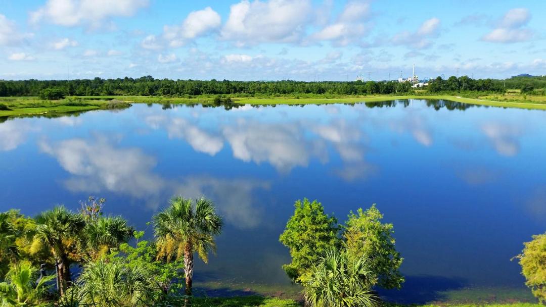 Photo of Outdoor in Florida Central Atlantic Coast